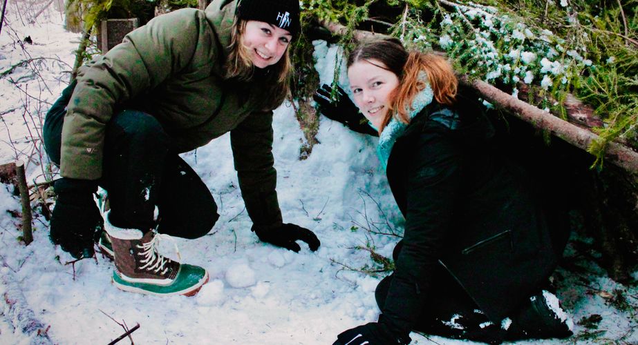 Zweden Winter Nieuw 8